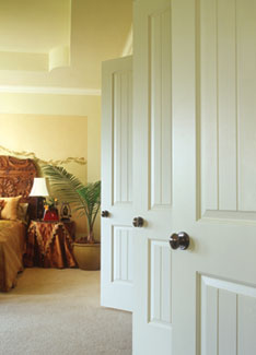 art_60910_0 1a1a1ClosetDoorTTLead